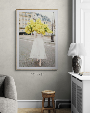 Late For Love - Mimosa Ile St Louis Paris