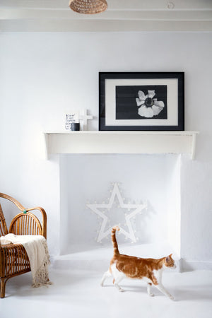 The Beauty of Living and Dying (Collection Bundle)