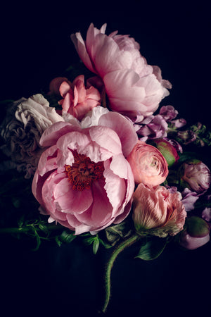 Honesty – delicate floral fine art print, Rewilding collection by Carla Coulson