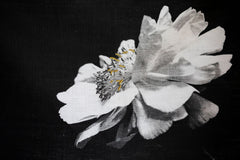 Beauty - A thing or person that delights the senses