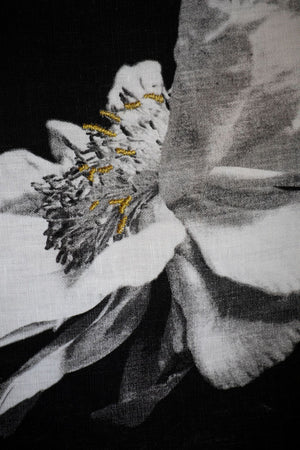 Beauty - A thing or person that delights the senses