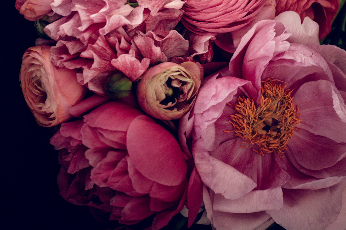 The Feminine Journey to Self is Colossal