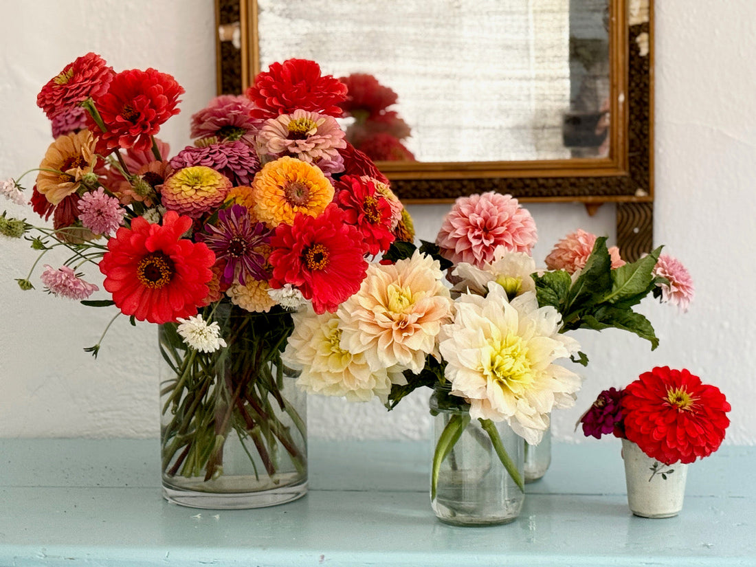 The Healing Home and Garden by Paula Robinson