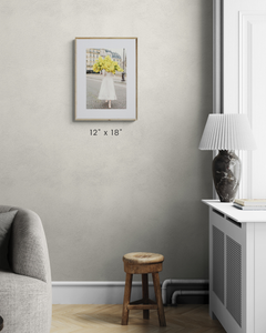 Late For Love - Mimosa Ile St Louis Paris