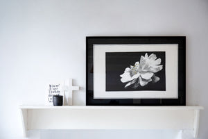 Beauty - A thing or person that delights the senses