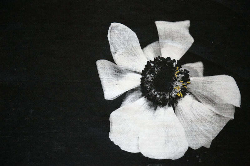 Dignity - Inherent nobility and worth