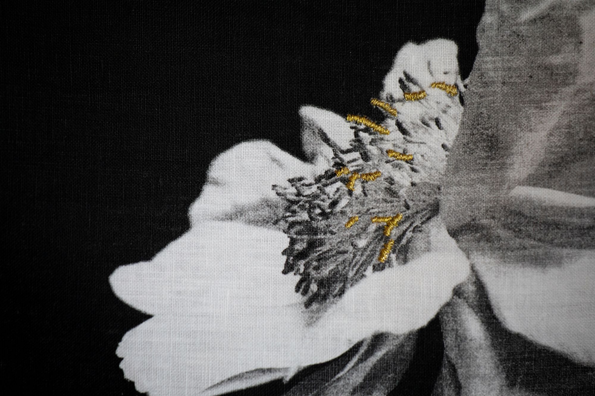 Beauty - A thing or person that delights the senses