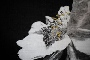 Beauty - A thing or person that delights the senses