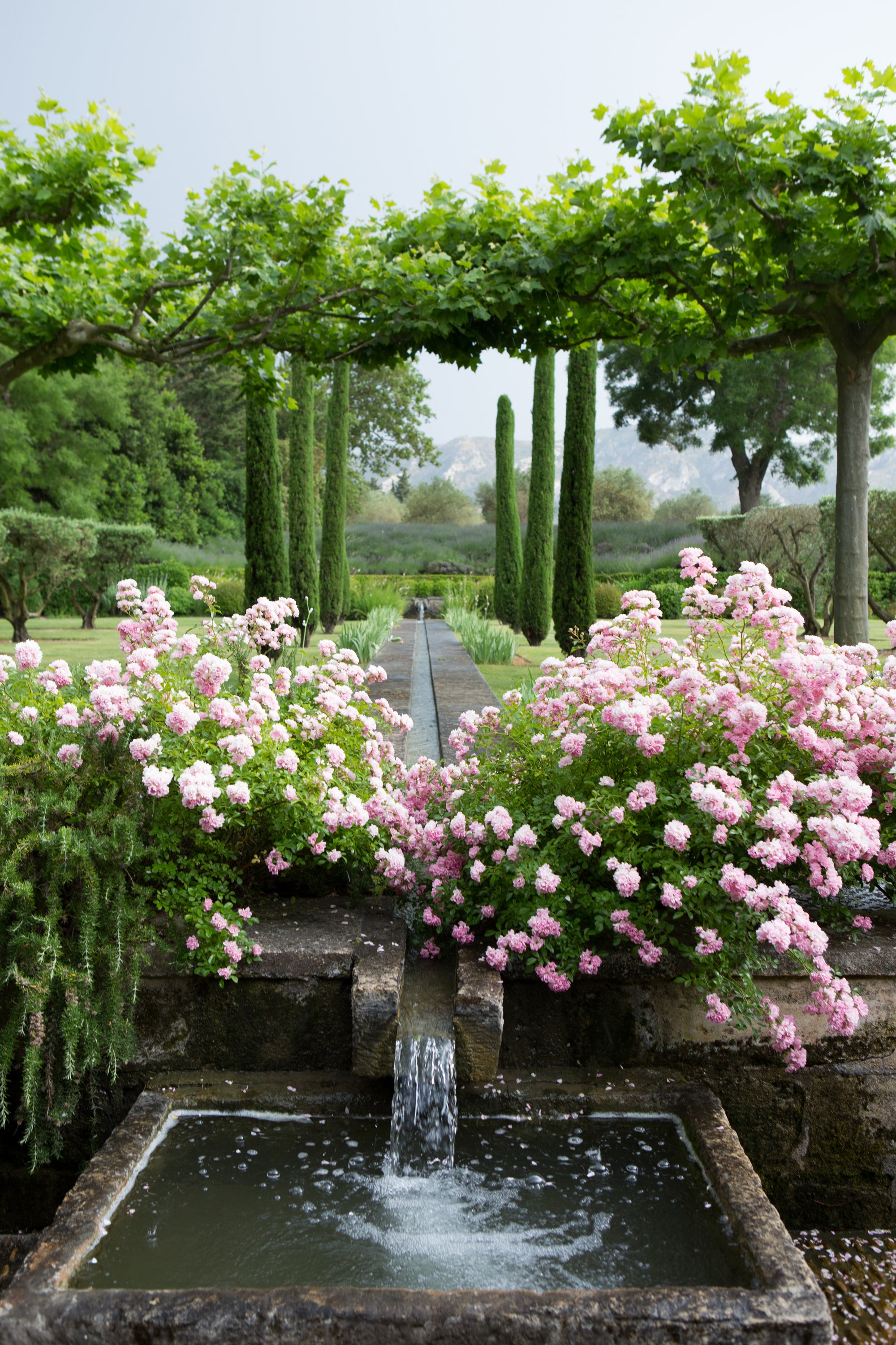 Garden scene with pink flowers, a fountain, arched by trees — luxury property photography by Carla Coulson
