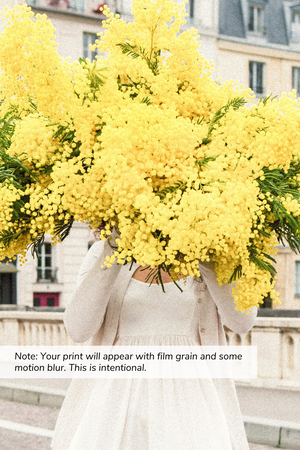 Late For Love - Mimosa Ile St Louis Paris