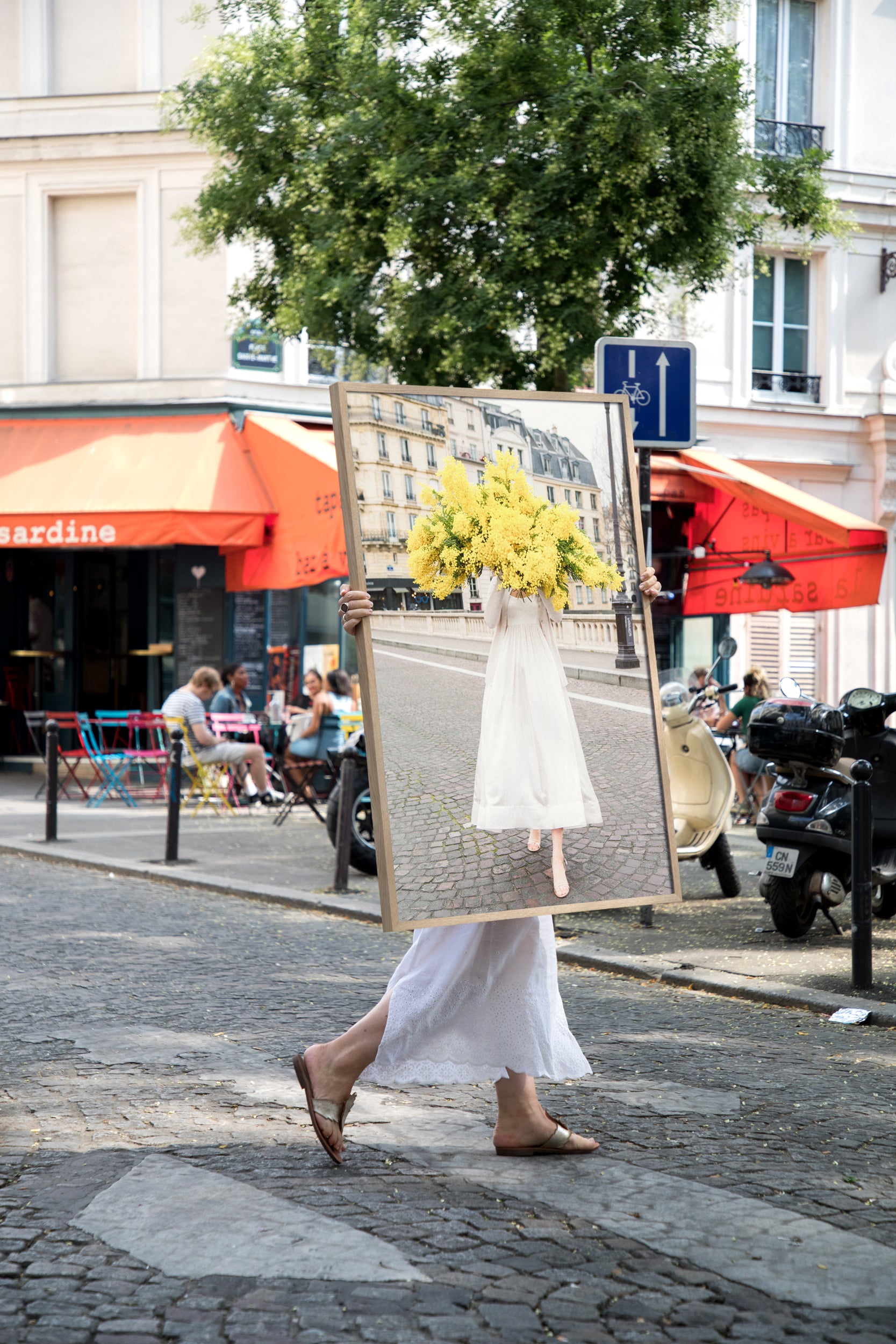 Late For Love - Carla Coulson Limited Edition Fine Art Print, mimosa flowers, flower photography, floral art print