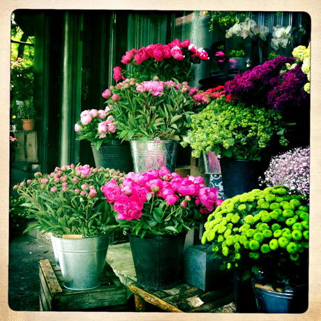 flowers in paris, parisian florists