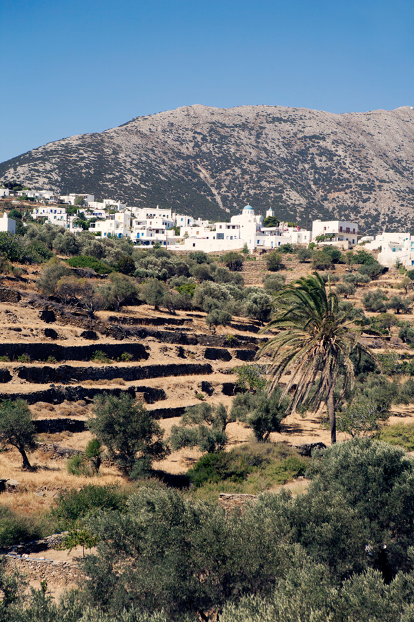 Photo of Appollonia from Kato Petali on greek island of Sifnos by Carla Coulson