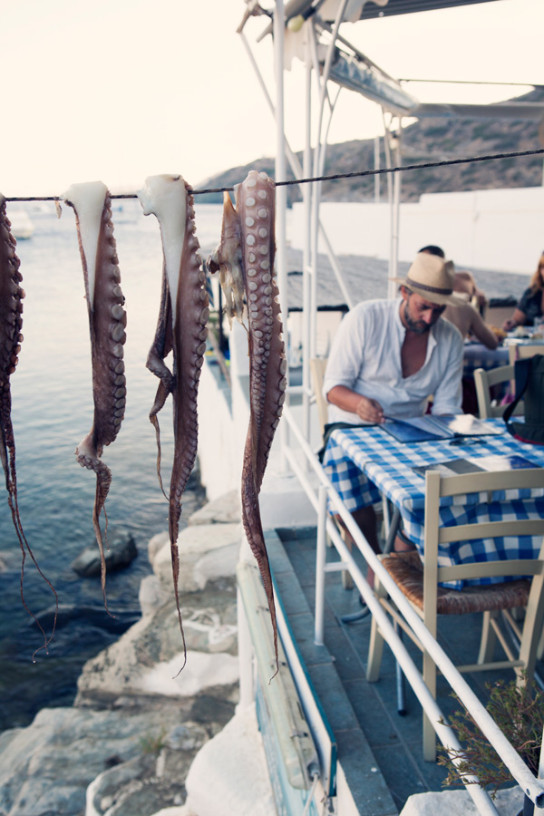  Francesco and Octopus drying at Faros Beach tavern on greek island of Sifnos
