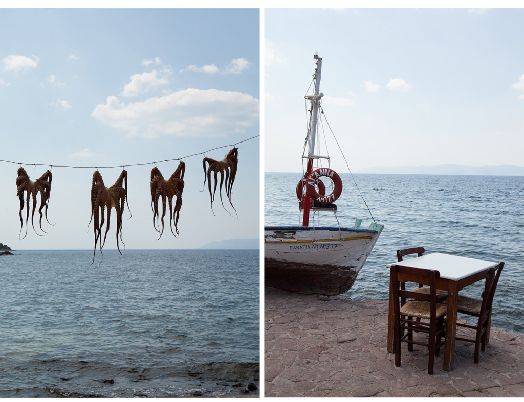 greece, lesvos, sikaminea, greek islands, my greek island home, carla coulson, greek village, traditional greek village, octopus drying, by the sea Greece, 
