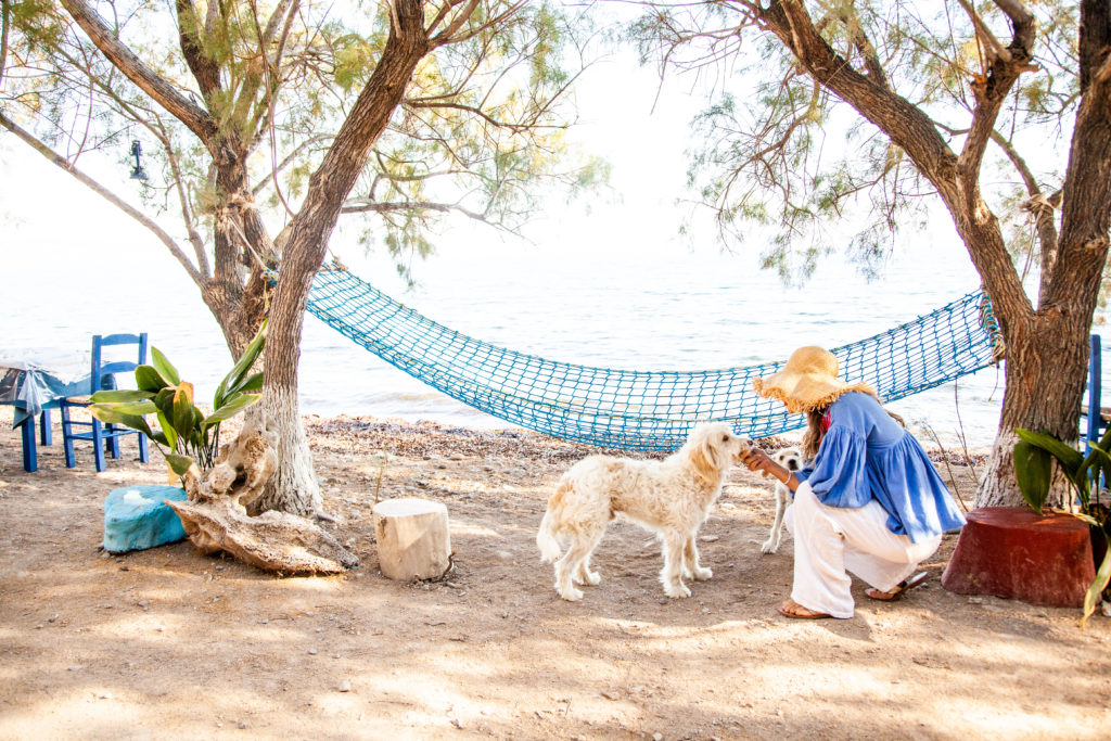 Carla Coulson on a beach in lesvos greece talking to a rescue dog 