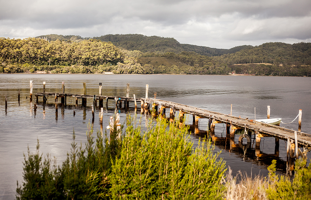 view from bushy summers airbnb shack strahan tasmania, Dreams Into Reality