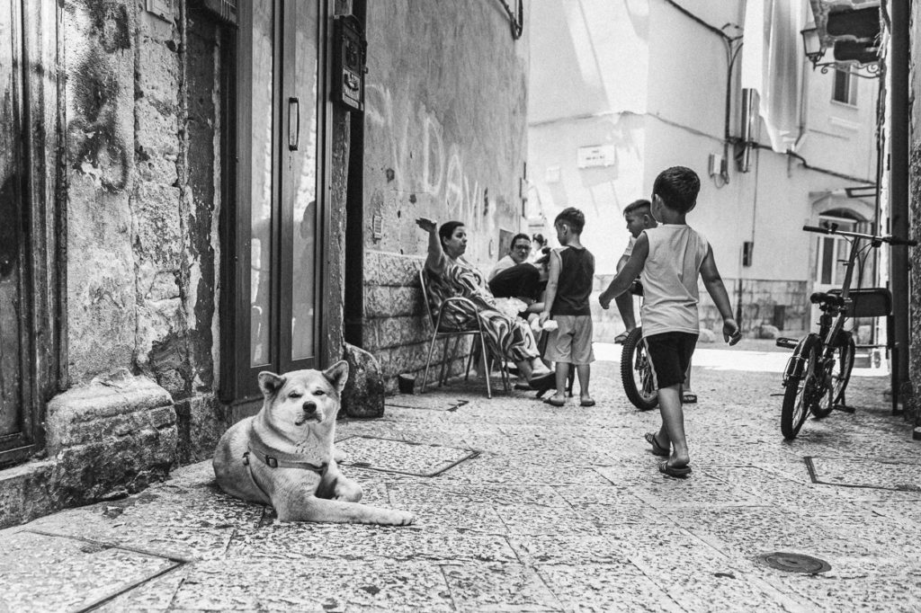 never too old, Jilly Bennet, black and white photography, dog photography, dogs of Italy, you're never too old, dream another dream