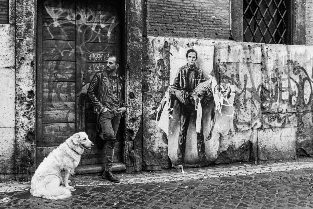 Jilly Bennet, black and white photography, dog photography, dogs of Italy, you're never too old, dream another dream