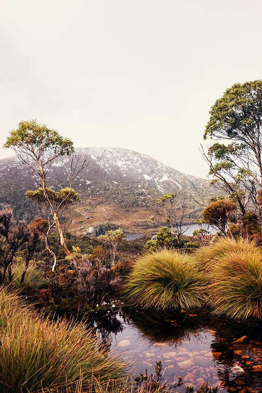 Millie Brown, scenic photography, Into the Wild, Australia Photography, Photography Fine Art Print, Mountain Stream by Millie Brown
